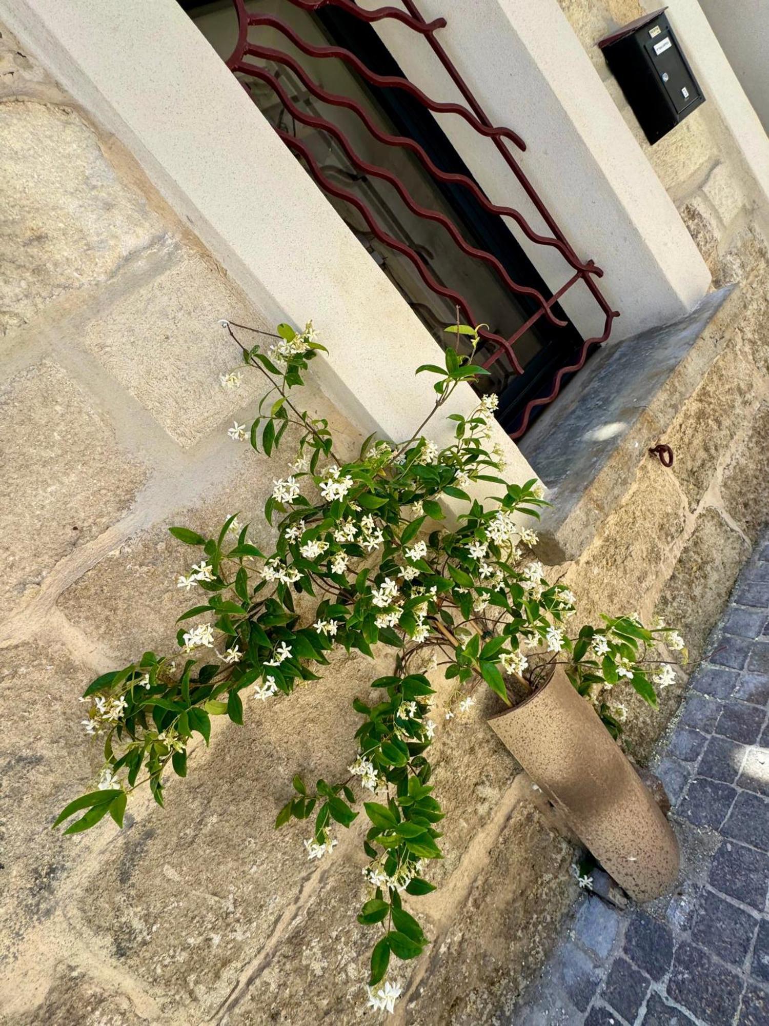 Maison De Village Renovee ! Le Grau-du-Roi Luaran gambar